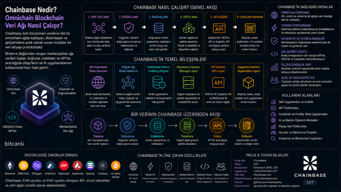 Chainbase Nedir? Omnichain Blockchain Veri Ağı Nasıl Çalışır?